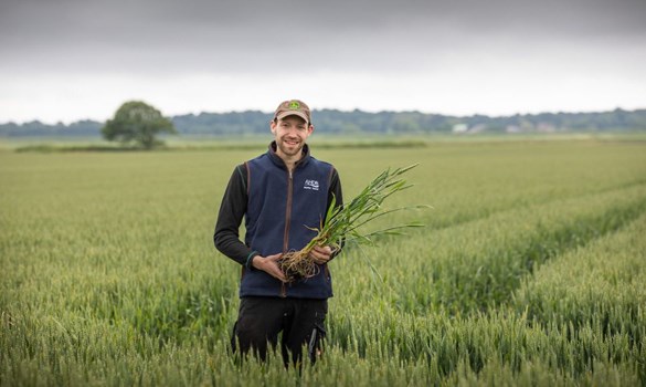 Farmer standing in field filled with green crops.